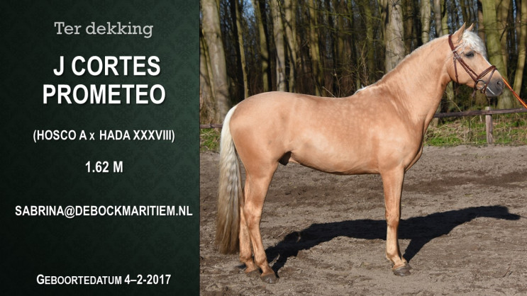 Afbeelding invoegen